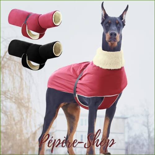 Cape Polaire Pour Chien