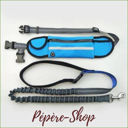 Ceinture jogging pour chien avec laisse , en nylon, multipoches - Bleu-PEPERE SHOP