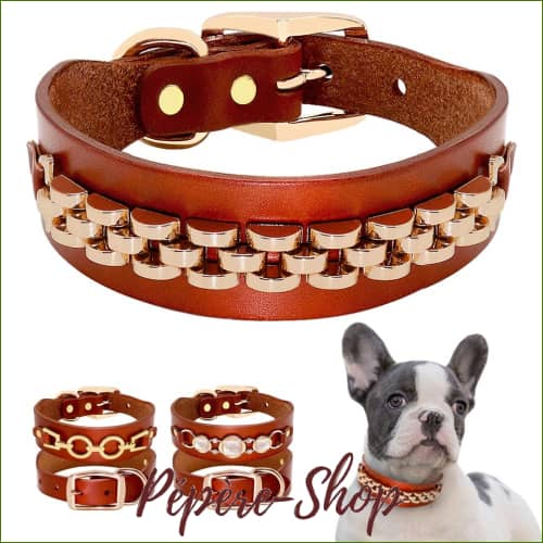 Collier Chien En Cuir De Luxe Petstar