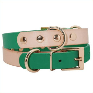 Collier cuir pour petit chien au design bicolore de luxe Vert / M