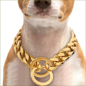 Collier martingale pour chien en chaine style molosse Gold / 55cm