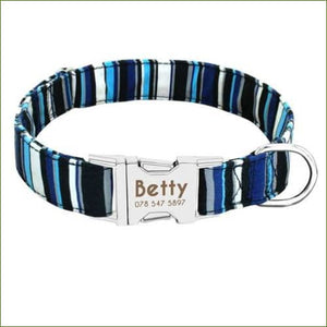 Collier d'identification pour chien original et coloré MIDOG Bleu / L