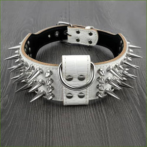 Collier en cuir véritable clouté pour chien Blanc / XL