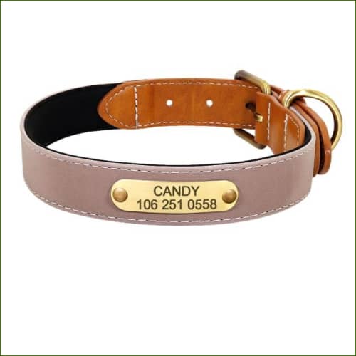 Collier gravé et réfléchissant en cuir pour chien PEPERE SHOP — free download