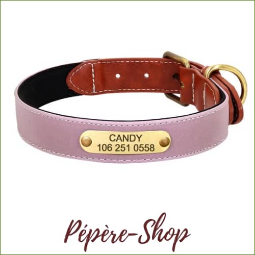 Collier gravé et réfléchissant en cuir pour chien PEPERE SHOP — free download