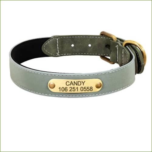 Collier gravé et réfléchissant en cuir pour chien PEPERE SHOP — free download