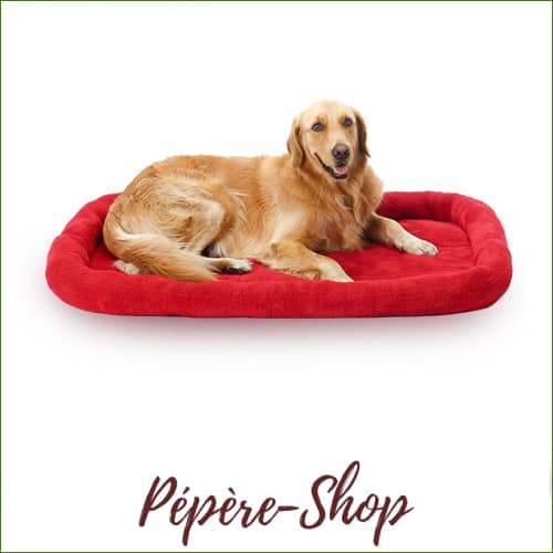 Coussin Grand Chien Lavable Rouge Ou Bleu