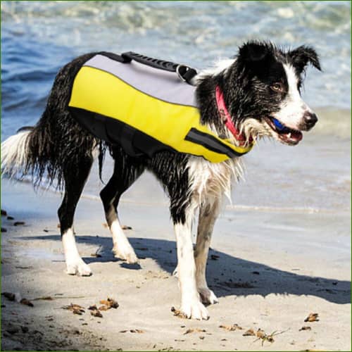 Gilet De Sauvetage Pour grand chien