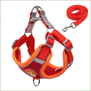 Harnais baudrier avec laisse assortie pour chien