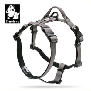 Harnais TRUELOVE Mountain pour chien - randonnée et excursions Gris / S 43-56cm/