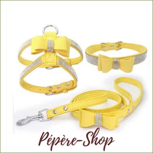 Harnais collier et laisse pour chiot chihuahua ou adulte Jaune / S/