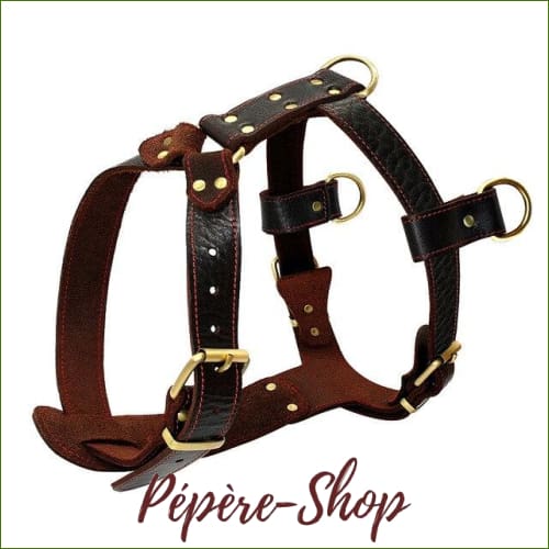 Harnais 3 points d'attache pour chien - modèle en cuir véritable avec boucles à ardillons - Brown / XL-PEPERE SHOP