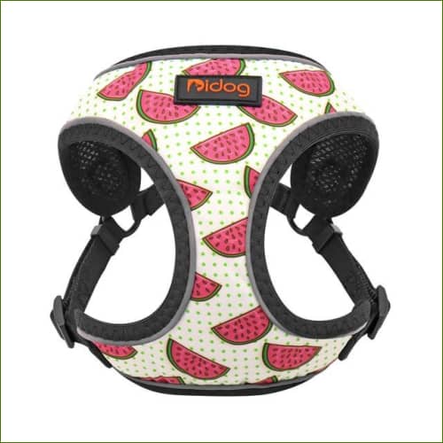  Harnais original pour chien 1 / M