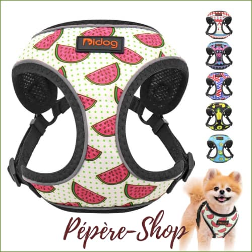 Harnais original pour chien, forme en Y pour la promenade ou l'éducation - -PEPERE SHOP