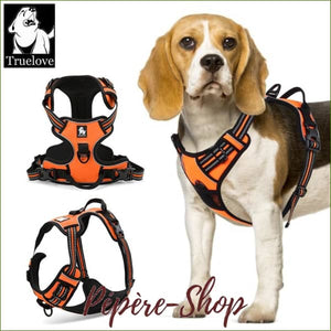 Harnais pour Beagle - modèle à double attache TRUELOVE - -PEPERE SHOP