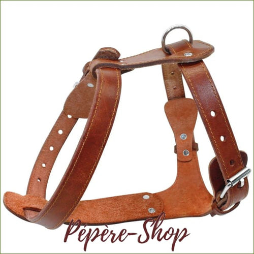 harnais cuir pour chien MIDOG ajustable et design - Brown / S-PEPERE SHOP