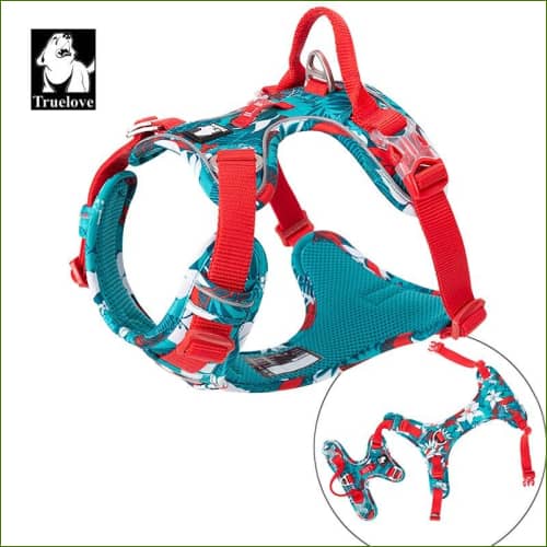 HARNAIS POUR ANIMAL DE COMPAGNIE vue générale