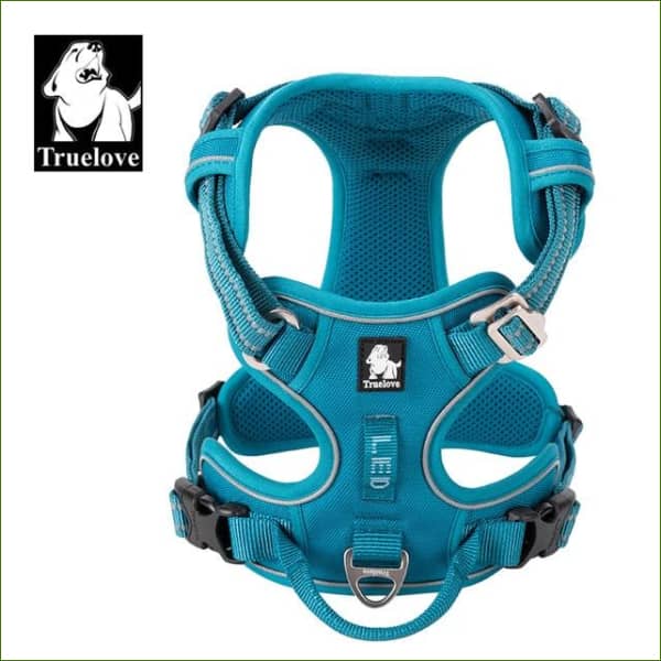 Harnais de dressage TRUE LOVE Bleu / XL
