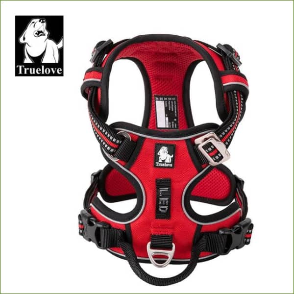 Harnais pour animaux TRUE LOVE Rouge / L