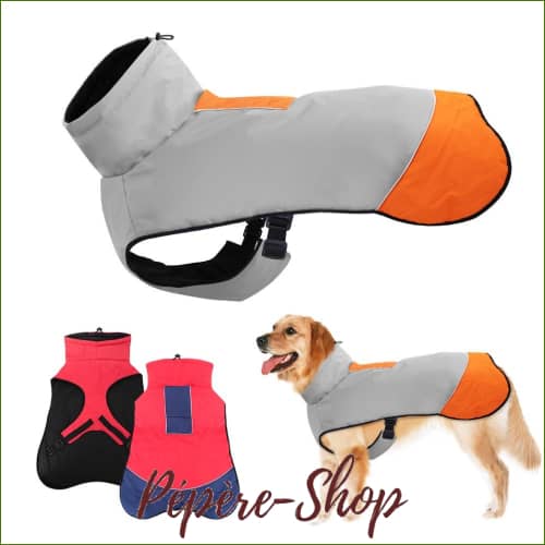 Imperméable Pour Chien Moyenne Et Grande Taille Réfléchissant