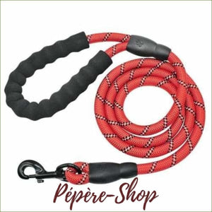 Laisse réfléchissante pour chien - en nylon solide avec mousqueton - Red / 150cm-PEPERE SHOP