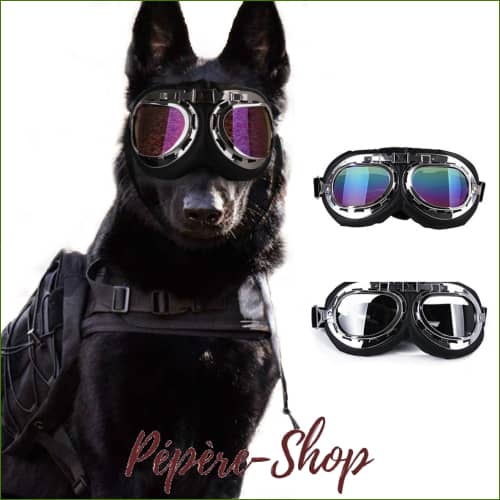 Lunettes Aviateur Design Pour chiens