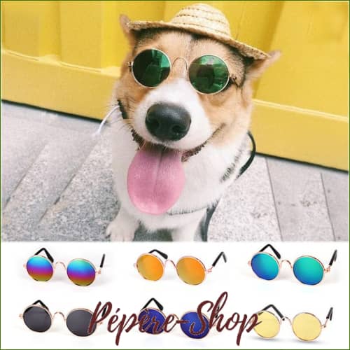 Lunettes De Soleil Rondes Pour Petit Chien