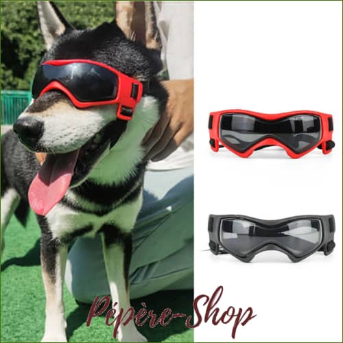 Lunettes Grand Chien Anti-Uv Et Imperméables