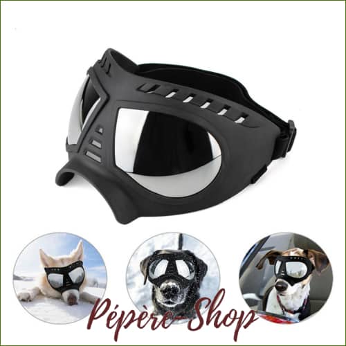 Lunettes Moto Pour Chien Anti Uv Ajustables