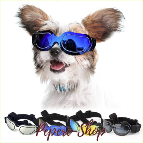 Lunettes Pour Chien Chihuahua Ou Yorkshire - Doggles