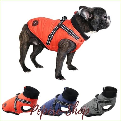 Manteau Harnais Pour French Bouledogue - Réfléchissant