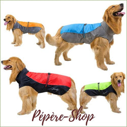 Manteau imperméable et coupe vent pour grand chien - -PEPERE SHOP