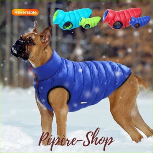 Manteau Pour Boxer Imperméable Et Réversible Manteau Grand Chien