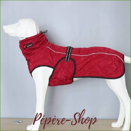 Manteau Pour Chien Staffie - Chaud Et Chic