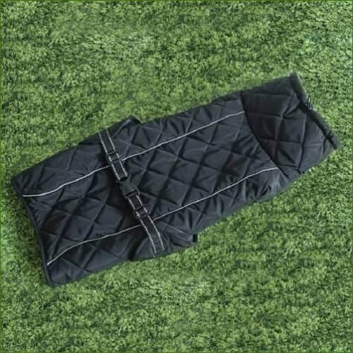 Manteau Pour Chien Staffie - Chaud Et Chic Noir / L