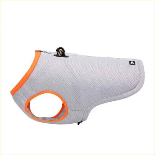 MUNSKT 5 Pcs Collier Rafraichissant Chien, écharpe Réutilisable Et