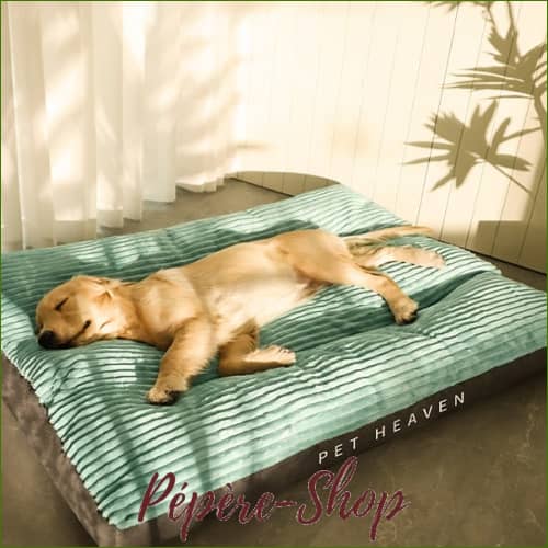 Matelas Xxl Pour Chien Forme Rectangulaire Confortable Large / Vert Matelas