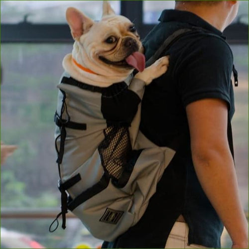 Sac à dos pour chien en nylon, sac à dos pour transport de chien - Morin  France