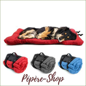 Tapis de voyage pour chien - pliable et transportable - -PEPERE SHOP