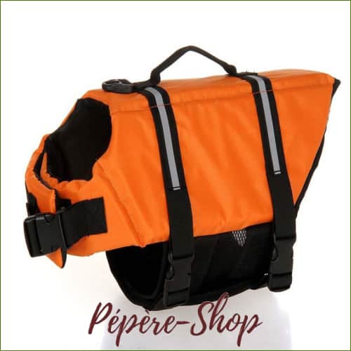 Veste de flottaison pour chien pas cher et colorée - -PEPERE SHOP