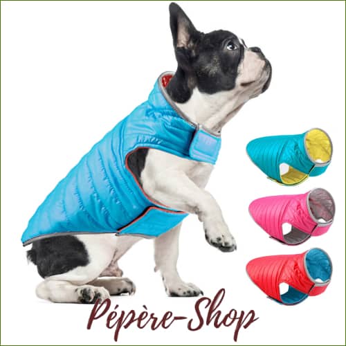 Veste Pour Bouledogue Français Imperméable Manches Courtes